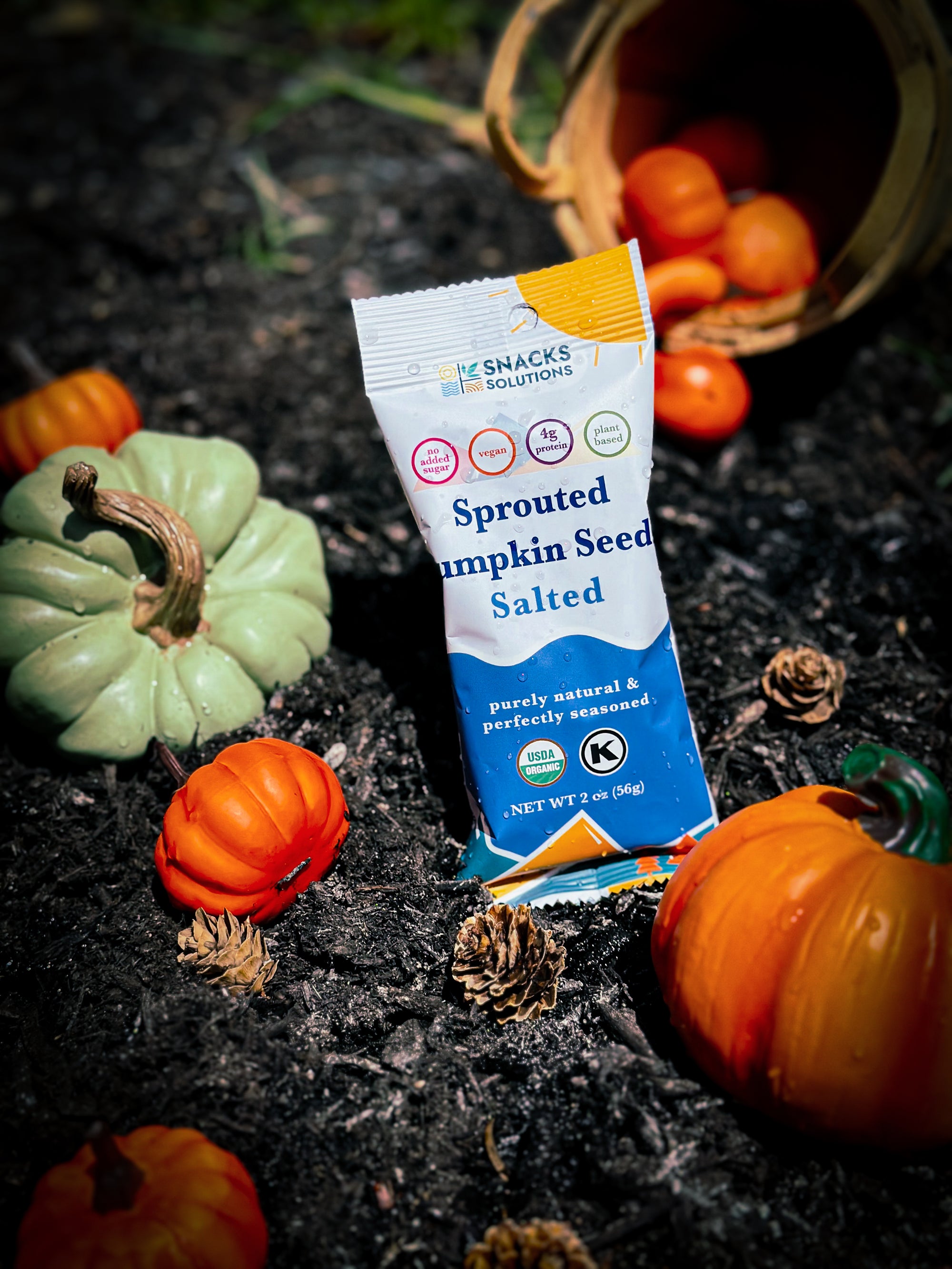 Sprouted Pumpkin Seeds – Salted (Snack Pack)