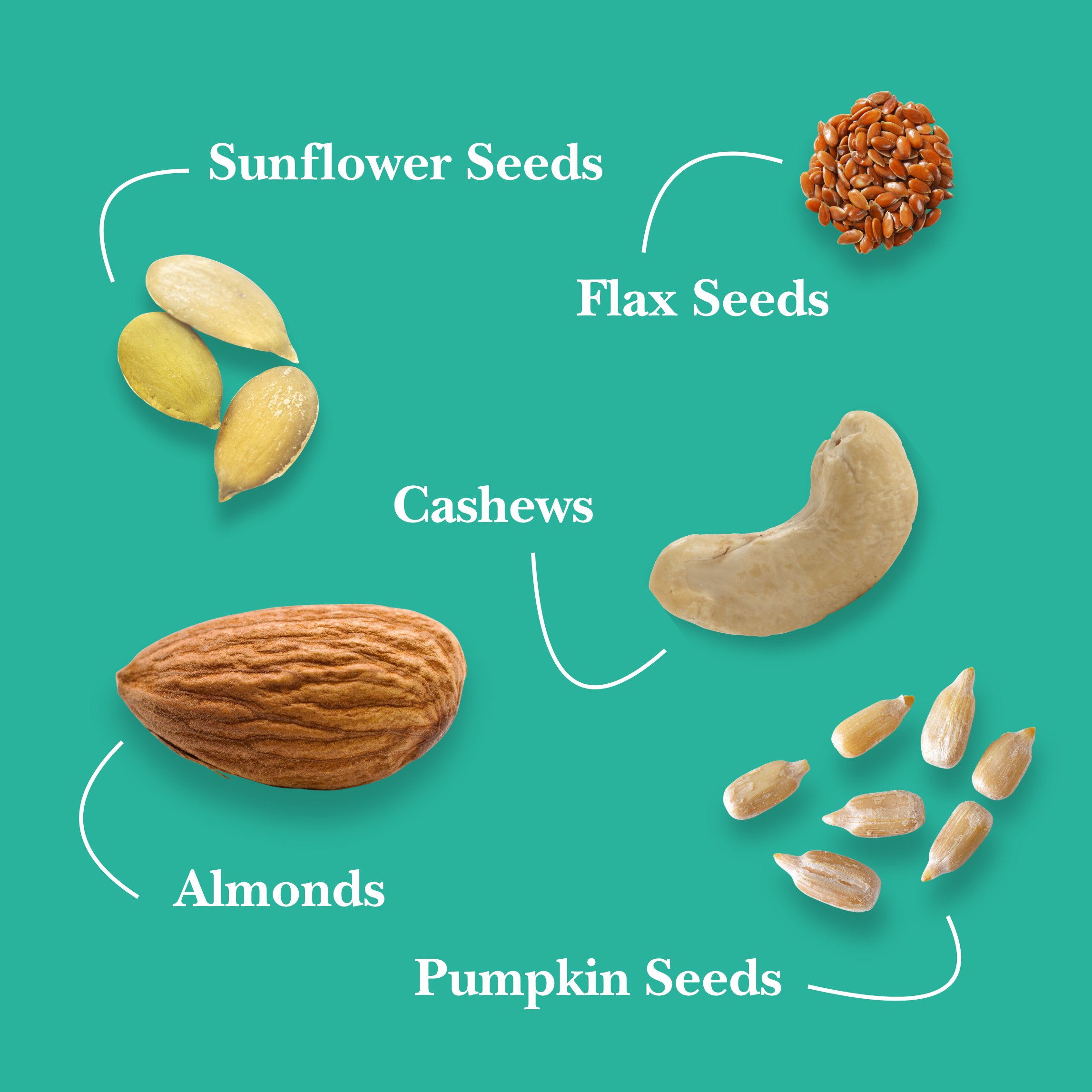 Illustration of various seeds including sunflower, flax, cashews, almonds, and pumpkin seeds on a teal background.